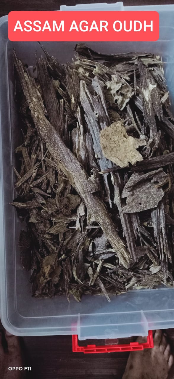 Assam Agar Oudh