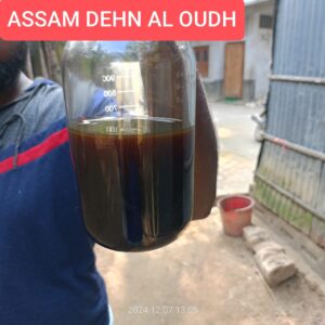 Assam Dehn Al Oudh