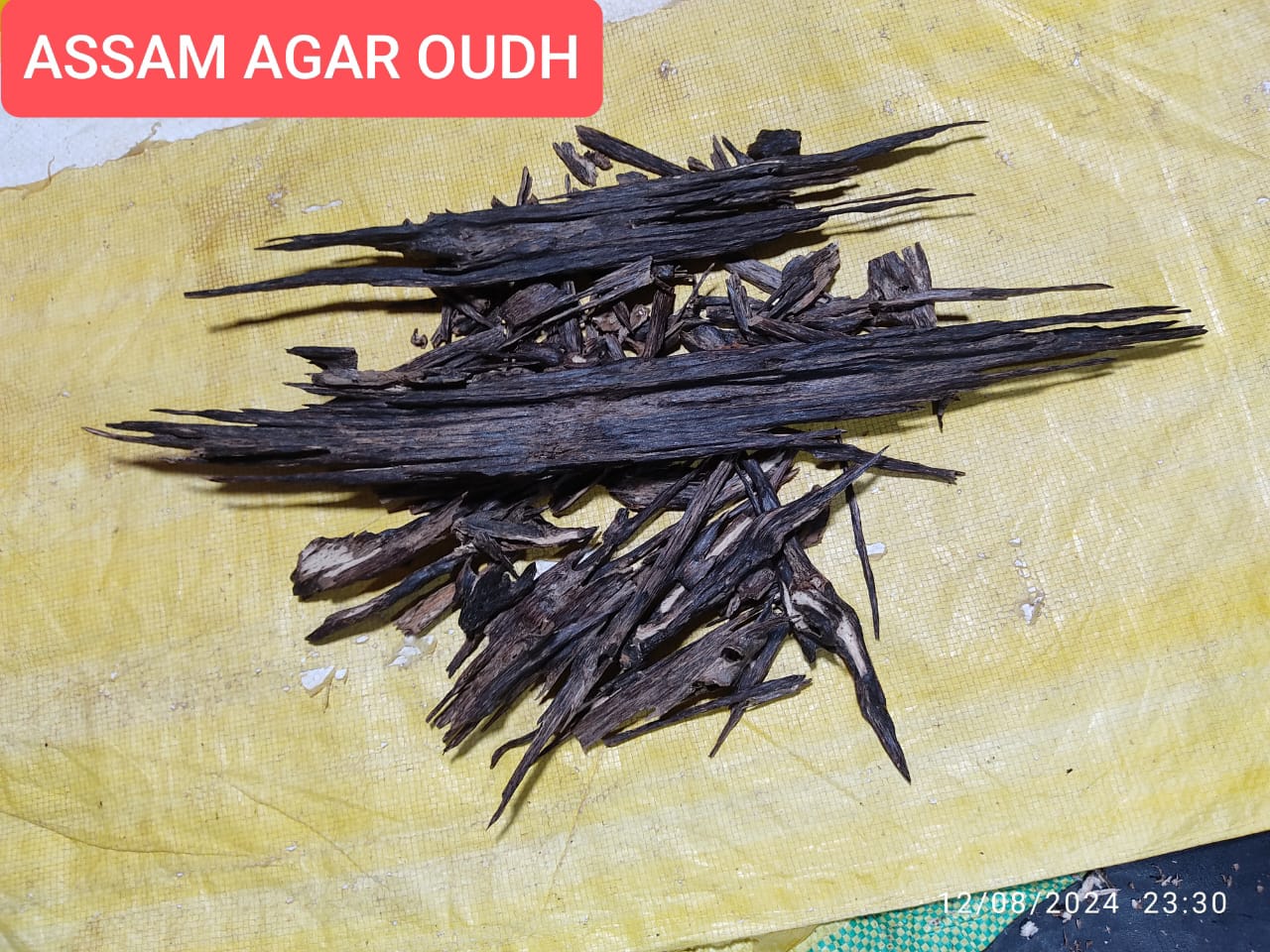 Assam Agar Oudh - Image 2