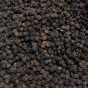 Black pepper